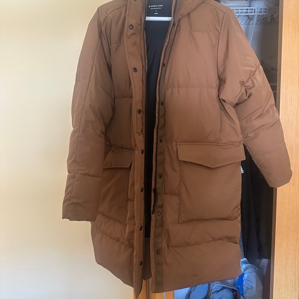Everlane Chestnut Puffer Jacket